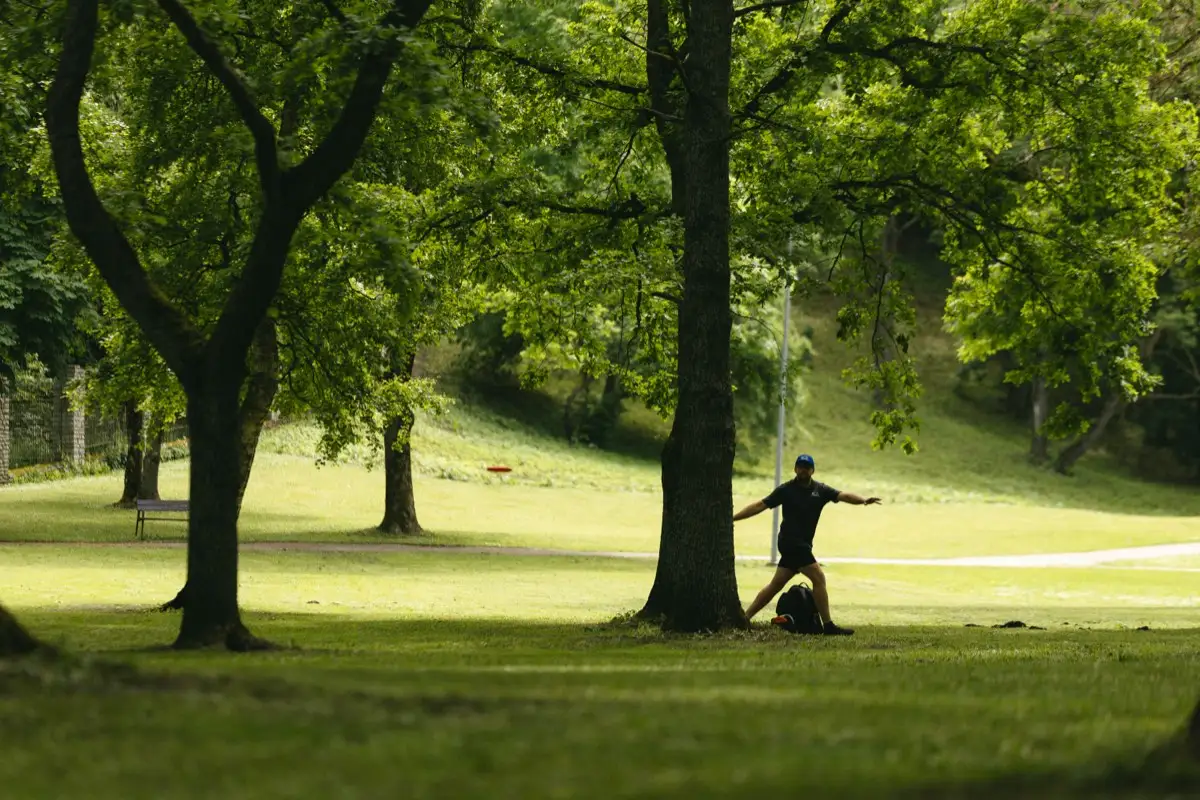 A player throwing between the trees