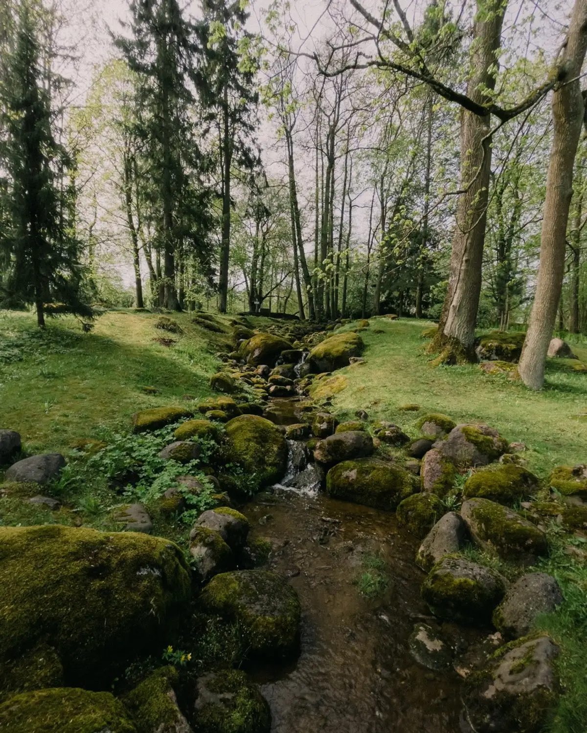 A stream in the wooded part of Kadriorg Park